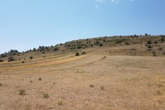 20190720_125332