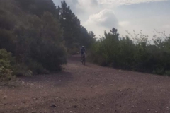 IMG-20190727-WA0001