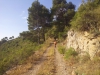 2016-07-23 09.17.54