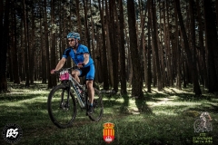 19961516_1148245535279735_3799305322591649309_n