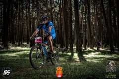 20031642_1148245648613057_4037042314399077223_n