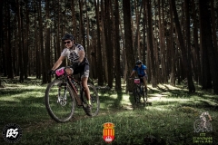 20031948_1148245618613060_8088719400339001720_n