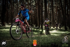 20139681_1148245718613050_20976994006408219_n