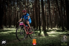 20140097_1148245685279720_2917182785444780396_n