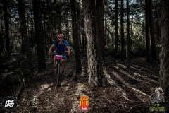 20155695_1148238001947155_4373125746816871464_n