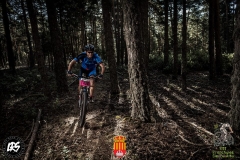 20228262_1148237991947156_6202274095932123767_n