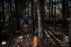 20228714_1148236548613967_6685183084315472739_n