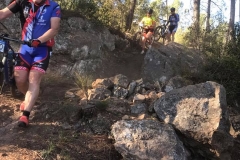 17862420_10203485726221996_5906208795649432841_n